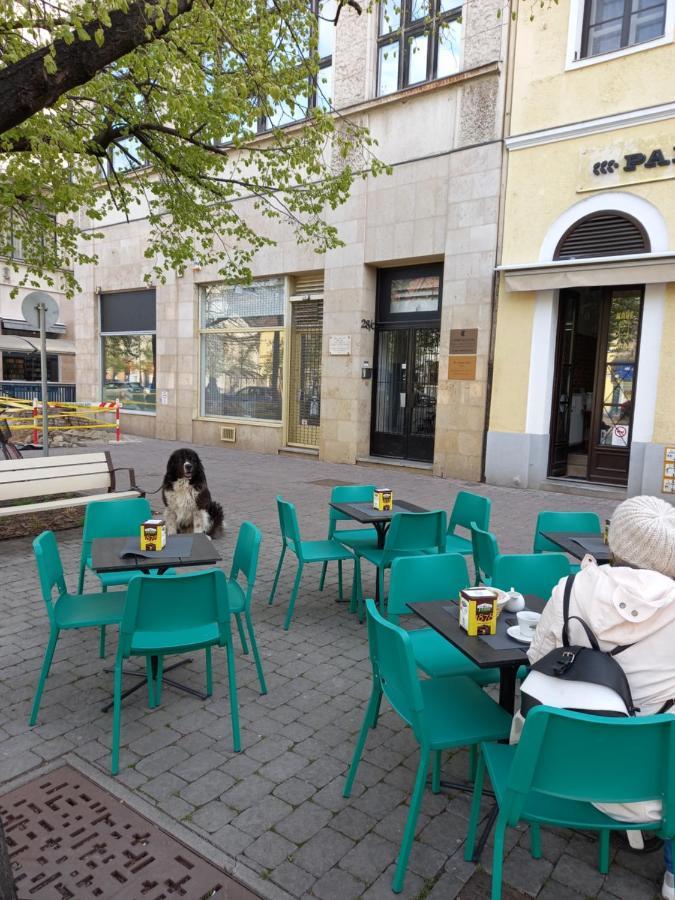 Aha Lejlighed Debrecen Eksteriør billede